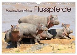 Faszination Afrika: Flusspferde (Wandkalender 2024 DIN A4 quer), CALVENDO Monatskalender
