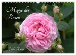 Magie der Rosen (Wandkalender 2024 DIN A3 quer), CALVENDO Monatskalender