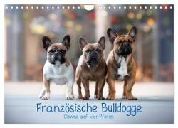 Französische Bulldogge - Clowns auf vier Pfoten (Wandkalender 2024 DIN A4 quer), CALVENDO Monatskalender