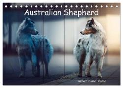 Australian Shepherd - Vielfalt in einer Rasse (Tischkalender 2024 DIN A5 quer), CALVENDO Monatskalender