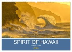 SPIRIT OF HAWAII (Wandkalender 2024 DIN A2 quer), CALVENDO Monatskalender