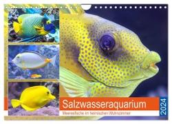 Salzwasseraquarium. Meeresfische im heimischen Wohnzimmer (Wandkalender 2024 DIN A4 quer), CALVENDO Monatskalender