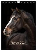 Pferde 2024 - Charakterköpfe vor der Kamera (Wandkalender 2024 DIN A4 hoch), CALVENDO Monatskalender