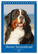 Berner Sennenhund - stark , schön und liebenswert (Tischkalender 2024 DIN A5 hoch), CALVENDO Monatskalender