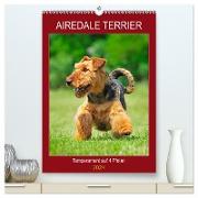 Airedale Terrier - Temperament auf 4 Pfoten (hochwertiger Premium Wandkalender 2024 DIN A2 hoch), Kunstdruck in Hochglanz