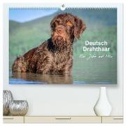 Deutsch Drahthaar - Ein Jahr mit Max (hochwertiger Premium Wandkalender 2024 DIN A2 quer), Kunstdruck in Hochglanz