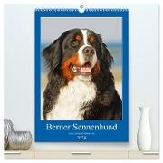 Berner Sennenhund - stark , schön und liebenswert (hochwertiger Premium Wandkalender 2024 DIN A2 hoch), Kunstdruck in Hochglanz