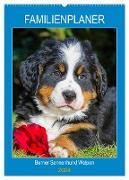 Familienplaner Berner Sennenhund Welpen (Wandkalender 2024 DIN A2 hoch), CALVENDO Monatskalender