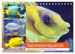 Salzwasseraquarium. Meeresfische im heimischen Wohnzimmer (Tischkalender 2024 DIN A5 quer), CALVENDO Monatskalender