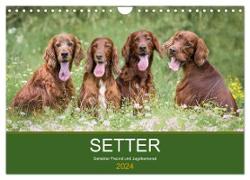 Setter - Geliebter Freund und Jagdkamerad (Wandkalender 2024 DIN A4 quer), CALVENDO Monatskalender