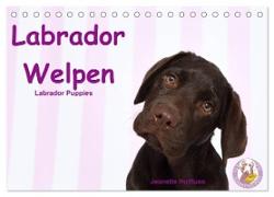 Labrador Welpen - Labrador Puppies (Tischkalender 2024 DIN A5 quer), CALVENDO Monatskalender