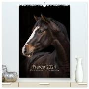 Pferde 2024 - Charakterköpfe vor der Kamera (hochwertiger Premium Wandkalender 2024 DIN A2 hoch), Kunstdruck in Hochglanz