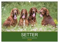Setter - Geliebter Freund und Jagdkamerad (Wandkalender 2024 DIN A2 quer), CALVENDO Monatskalender