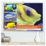 Salzwasseraquarium. Meeresfische im heimischen Wohnzimmer (hochwertiger Premium Wandkalender 2024 DIN A2 quer), Kunstdruck in Hochglanz