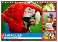 Papageien. Knallbunte Aras und Co. (Wandkalender 2024 DIN A4 quer), CALVENDO Monatskalender