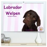 Labrador Welpen - Labrador Puppies (hochwertiger Premium Wandkalender 2024 DIN A2 quer), Kunstdruck in Hochglanz
