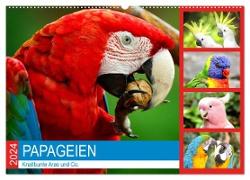 Papageien. Knallbunte Aras und Co. (Wandkalender 2024 DIN A2 quer), CALVENDO Monatskalender