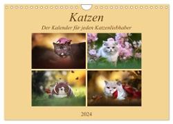 Katzen - Der Kalender für jeden Katzenliebhaber (Wandkalender 2024 DIN A4 quer), CALVENDO Monatskalender
