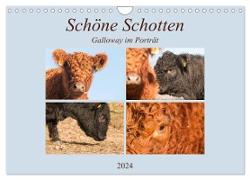 Schöne Schotten - Galloway im Porträt (Wandkalender 2024 DIN A4 quer), CALVENDO Monatskalender