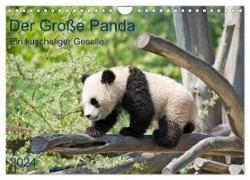 Der Große Panda Ein kuscheliger Geselle (Wandkalender 2024 DIN A4 quer), CALVENDO Monatskalender