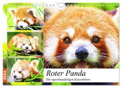 Roter Panda. Die superknuddeligen Katzenbären (Wandkalender 2024 DIN A4 quer), CALVENDO Monatskalender