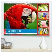 Papageien. Knallbunte Aras und Co. (hochwertiger Premium Wandkalender 2024 DIN A2 quer), Kunstdruck in Hochglanz