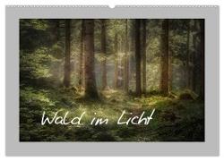 Wald im Licht (Wandkalender 2024 DIN A2 quer), CALVENDO Monatskalender