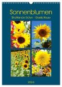 Sonnenblumen - Strahlende Blüten (Wandkalender 2024 DIN A3 hoch), CALVENDO Monatskalender