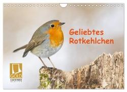 Geliebtes Rotkehlchen (Wandkalender 2024 DIN A4 quer), CALVENDO Monatskalender