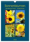 Sonnenblumen - Strahlende Blüten (Wandkalender 2024 DIN A4 hoch), CALVENDO Monatskalender
