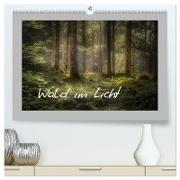 Wald im Licht (hochwertiger Premium Wandkalender 2024 DIN A2 quer), Kunstdruck in Hochglanz