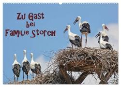 Zu Gast bei Familie Storch (Wandkalender 2024 DIN A2 quer), CALVENDO Monatskalender