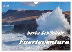 Herbe Schönheit Fuerteventura (Wandkalender 2024 DIN A4 quer), CALVENDO Monatskalender