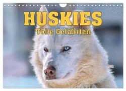 Huskies - Tolle Gefährten (Wandkalender 2024 DIN A4 quer), CALVENDO Monatskalender