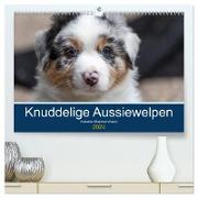 Australian Shepherd Welpen 2024 (hochwertiger Premium Wandkalender 2024 DIN A2 quer), Kunstdruck in Hochglanz