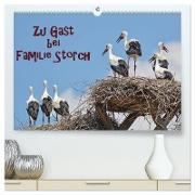 Zu Gast bei Familie Storch (hochwertiger Premium Wandkalender 2024 DIN A2 quer), Kunstdruck in Hochglanz