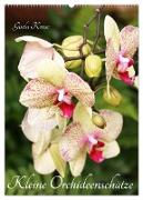 Kleine Orchideenschätze (Wandkalender 2024 DIN A2 hoch), CALVENDO Monatskalender