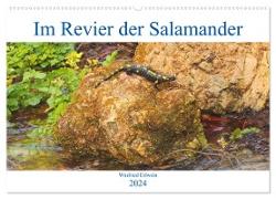Im Revier der Salamander (Wandkalender 2024 DIN A2 quer), CALVENDO Monatskalender