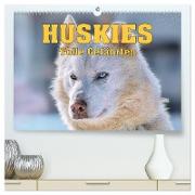 Huskies - Tolle Gefährten (hochwertiger Premium Wandkalender 2024 DIN A2 quer), Kunstdruck in Hochglanz