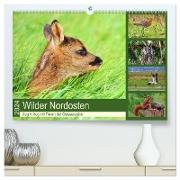 Wilder Nordosten - Aug in Aug mit Tieren der Ostseeregion (hochwertiger Premium Wandkalender 2024 DIN A2 quer), Kunstdruck in Hochglanz