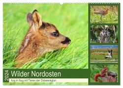 Wilder Nordosten - Aug in Aug mit Tieren der Ostseeregion (Wandkalender 2024 DIN A2 quer), CALVENDO Monatskalender