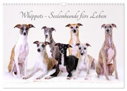 Whippets - Seelenhunde fürs Leben (Wandkalender 2024 DIN A3 quer), CALVENDO Monatskalender