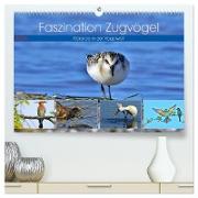 Faszination Zugvögel - Rekorde in der Vogelwelt (hochwertiger Premium Wandkalender 2024 DIN A2 quer), Kunstdruck in Hochglanz