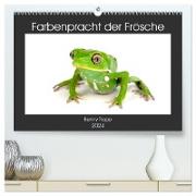 Farbenpracht der Frösche (hochwertiger Premium Wandkalender 2024 DIN A2 quer), Kunstdruck in Hochglanz