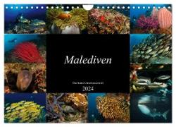 Malediven - Die bunte Unterwasserwelt (Wandkalender 2024 DIN A4 quer), CALVENDO Monatskalender