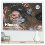 Hippos - Begegnungen in Afrika (hochwertiger Premium Wandkalender 2024 DIN A2 quer), Kunstdruck in Hochglanz
