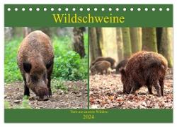 Wildschweine - Tiere aus unseren Wäldern (Tischkalender 2024 DIN A5 quer), CALVENDO Monatskalender