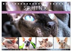 Sphinx. Grazile und anmutige Nacktkatzen (Tischkalender 2024 DIN A5 quer), CALVENDO Monatskalender