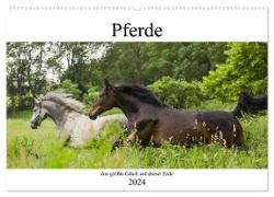 Pferde, das größte Glück auf dieser Erde (Wandkalender 2024 DIN A2 quer), CALVENDO Monatskalender
