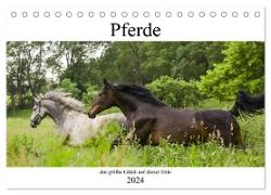 Pferde, das größte Glück auf dieser Erde (Tischkalender 2024 DIN A5 quer), CALVENDO Monatskalender